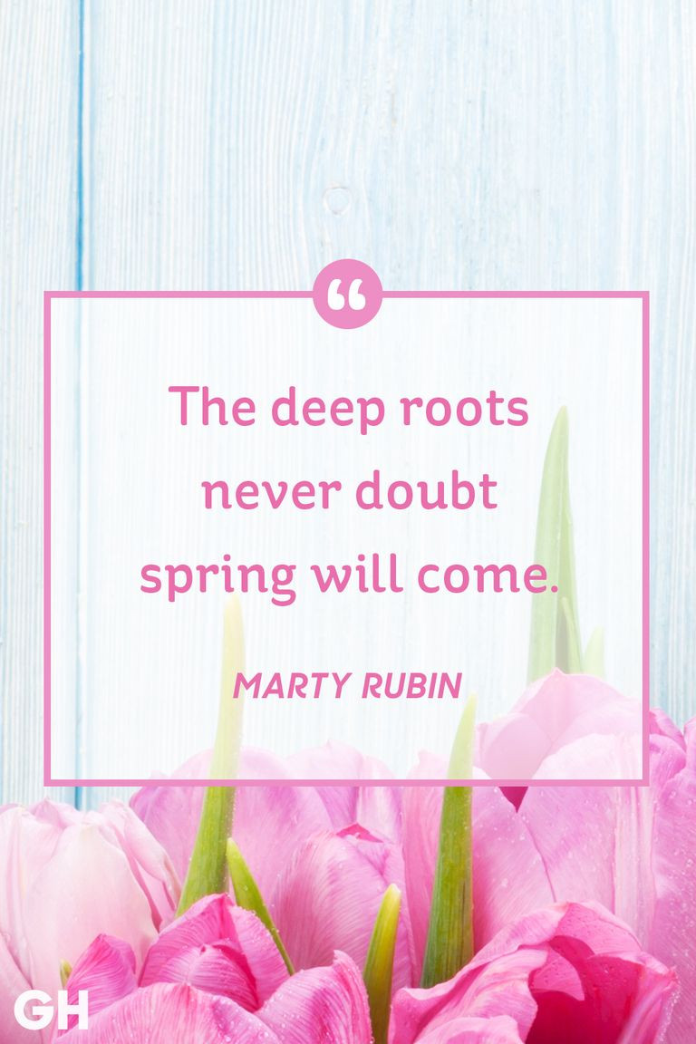 Easter Quotes And Sayings
 30 Best Easter Quotes Famous Sayings About Hope and Spring