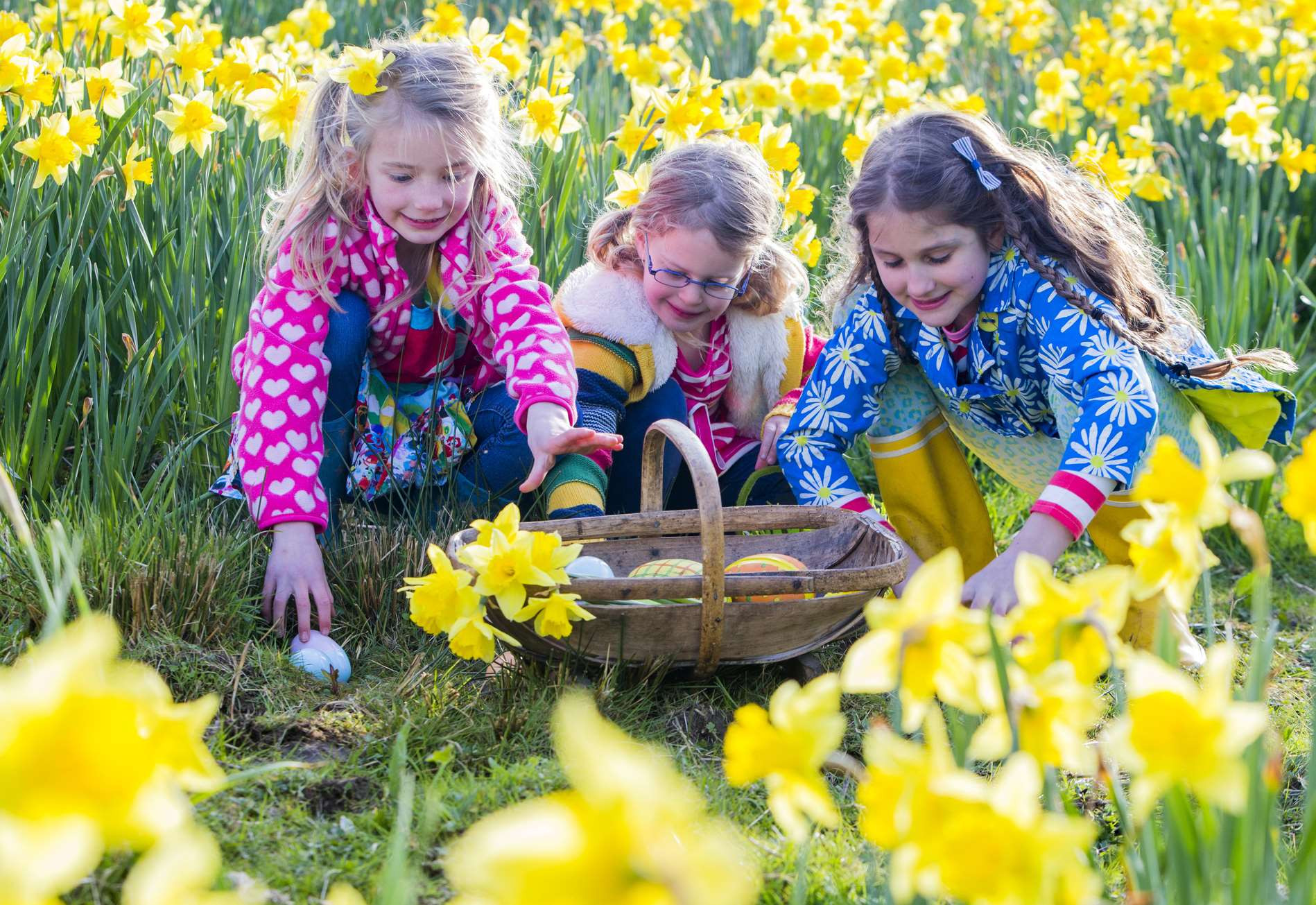 Family Easter Ideas
 Easter activities for families in Kent