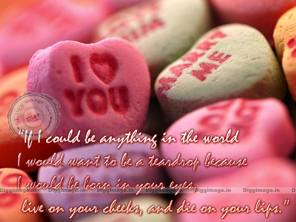 Famous Valentines Day Quotes
 Valentines Day Quotes And Sayings QuotesGram
