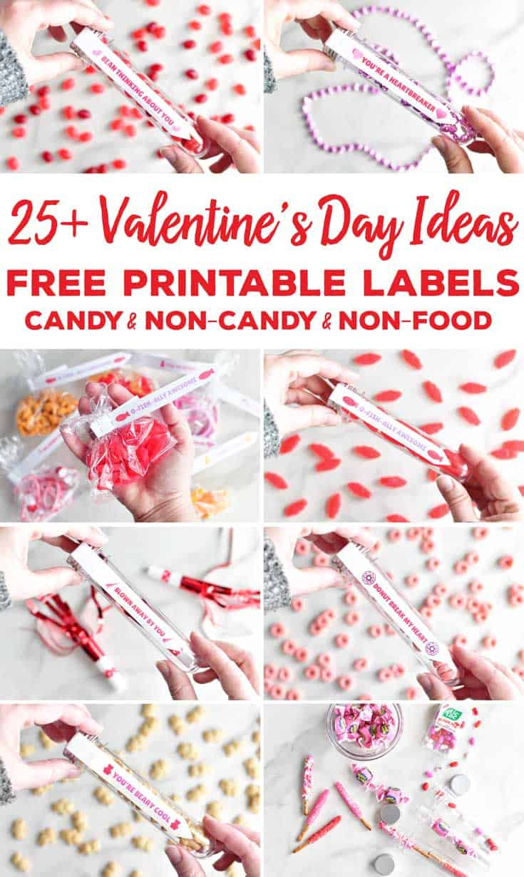 Free Valentines Day Ideas
 Valentine s Day Ideas with Free Printable Labels for Test