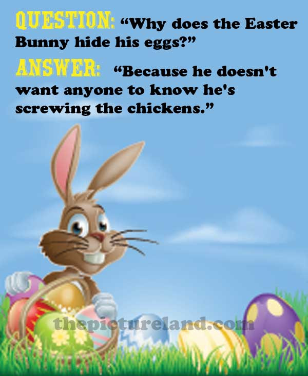 Funny Easter Bunny Quotes
 Easter Bunny Funny Quotes QuotesGram