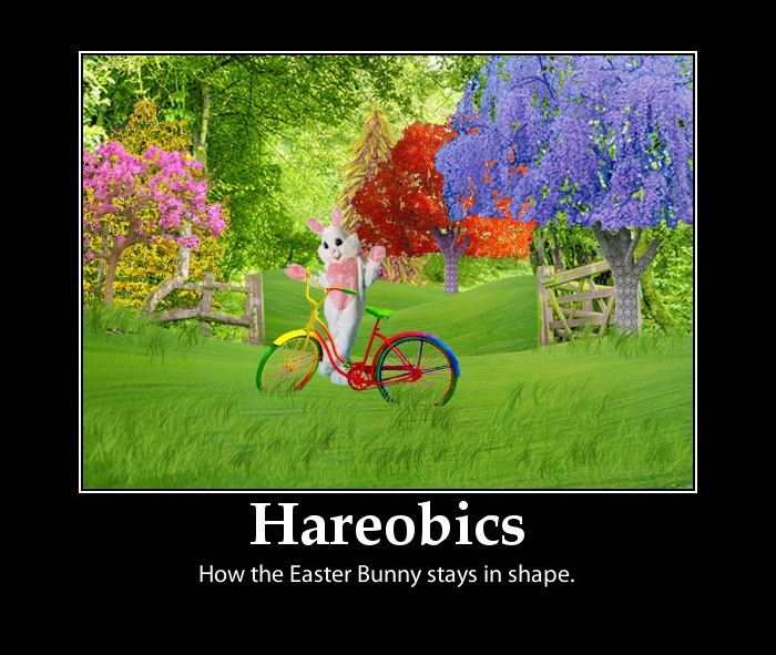Funny Easter Bunny Quotes
 Funny Easter Quotes & Sayings