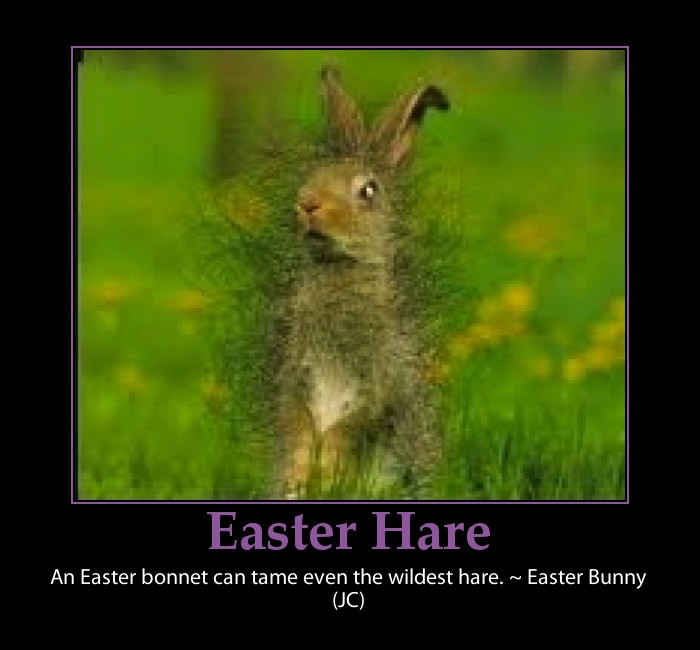Funny Easter Bunny Quotes
 Quotes and Sayings Happy Easter Funny Quotes Eggs and Rabbits