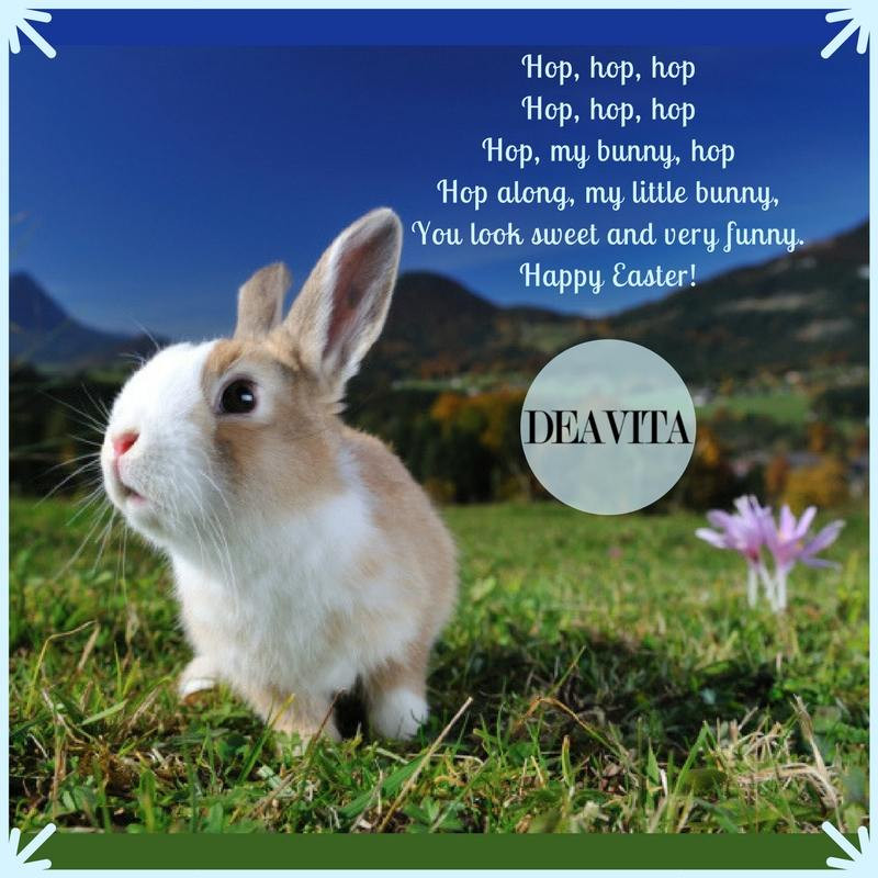 Funny Easter Bunny Quotes
 Super fun Easter greeting cards and quotes send your