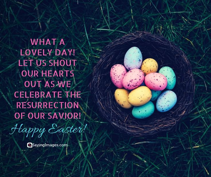 Happy Easter Quote
 41 best Happy Easter Quotes Cards images on