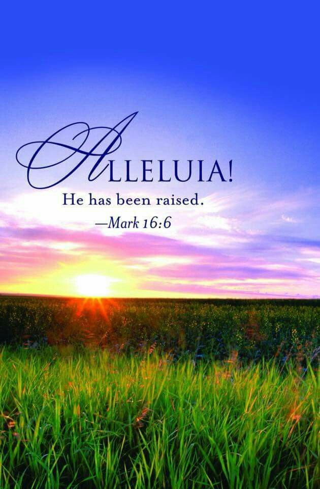 Happy Easter Quotes Bible Verses
 Easter