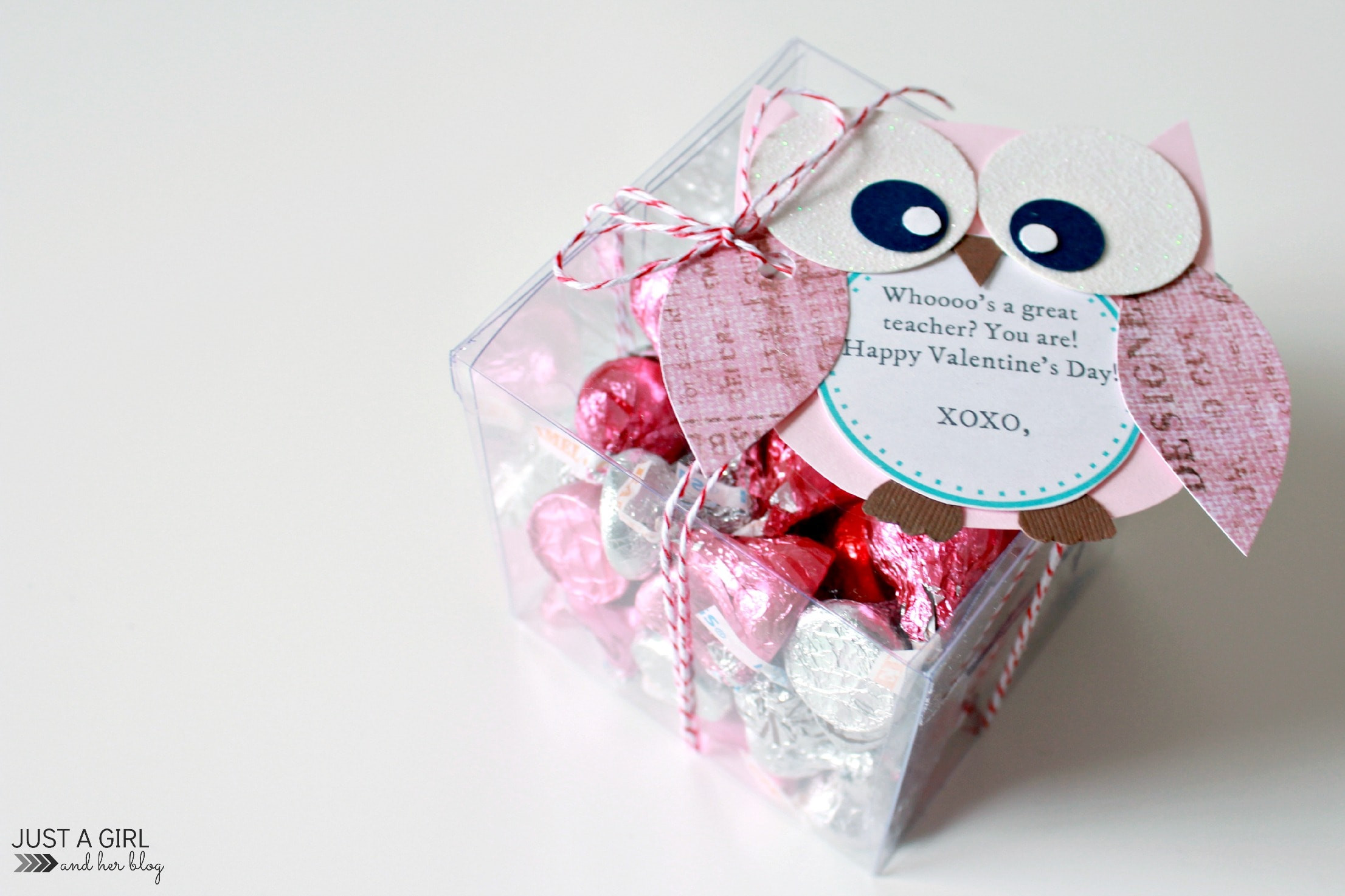 Valentine Day Gift Ideas For Teachers
 Owl Valentine Teacher Gift