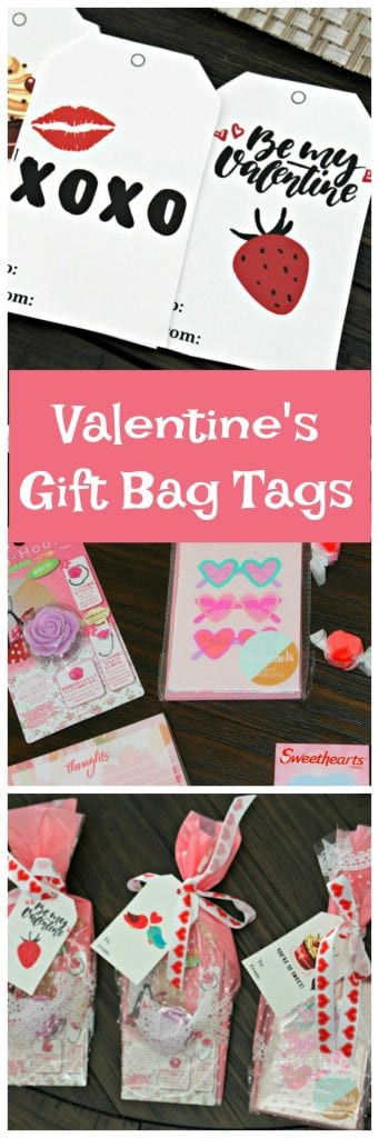 Valentines Gift Bag Ideas
 Valentines Gift Bag Ideas Organized Island